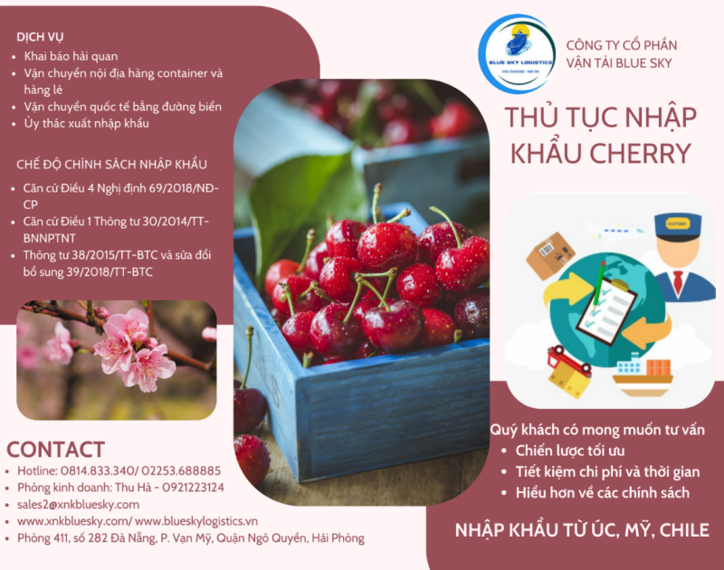   
          DỊCH VỤ NHẬP KHẨU TRÁI CÂY TƯƠI - CHERRY,NHO,CAM,TÁO VÀ CÁC LOẠI TRÁI CÂY KHÁC